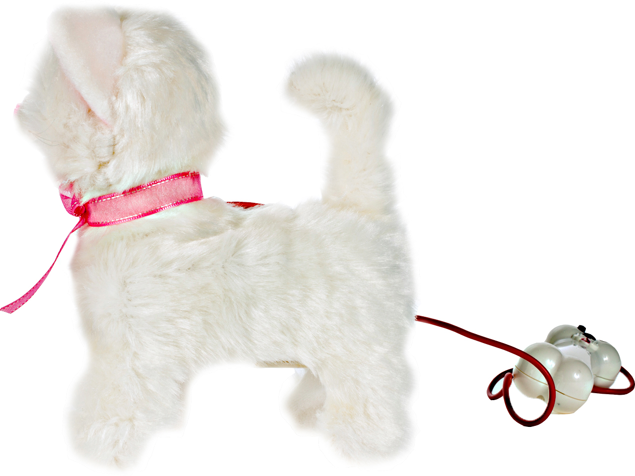 KOTEK interaktywny CHODZĄCY NA SMYCZY kot