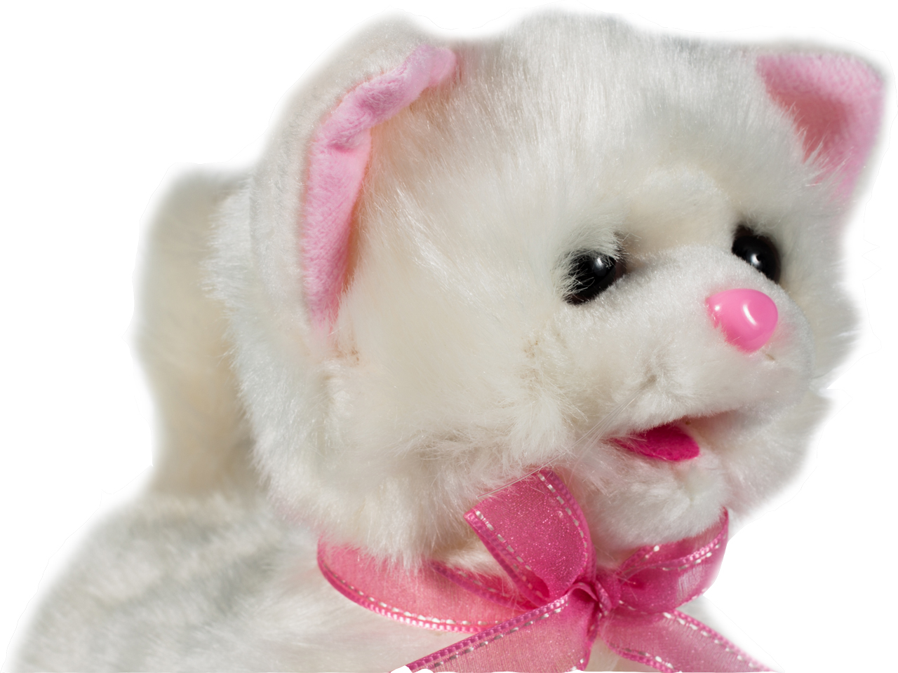 KOTEK interaktywny CHODZĄCY NA SMYCZY kot