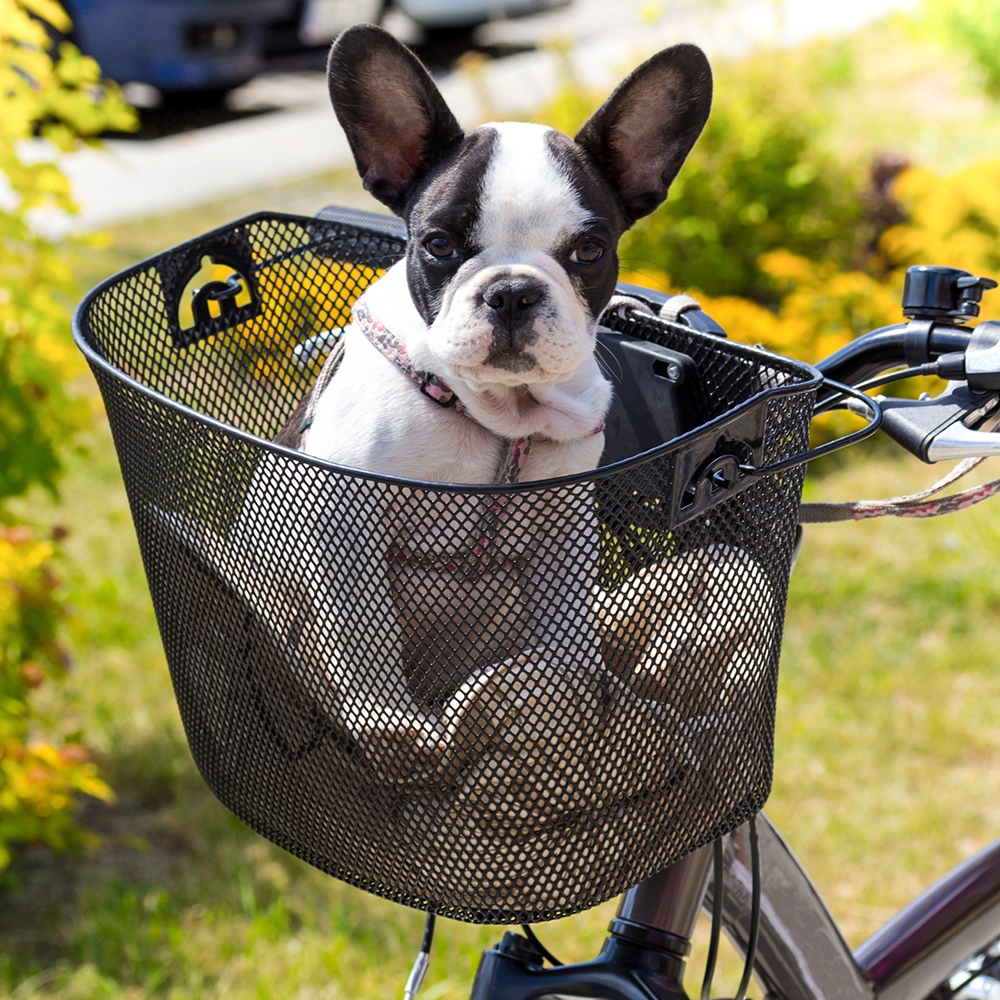 Metalowy Koszyk na Rower, Kierownicę + Wkład